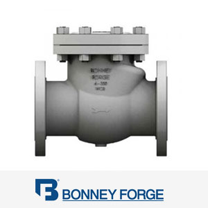 SS Valve